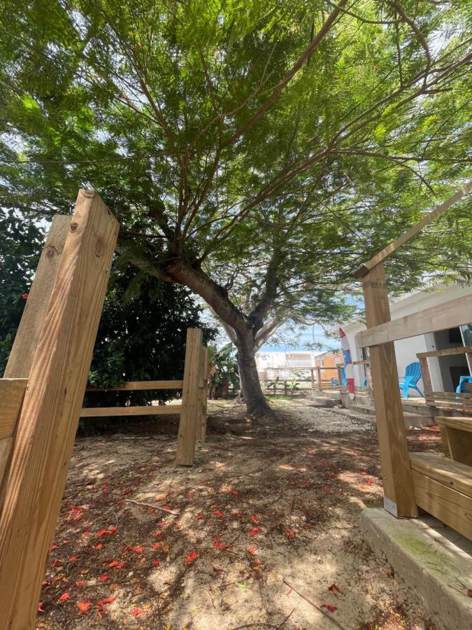 Las Olas Beach Apartments Arecibo Eksteriør billede